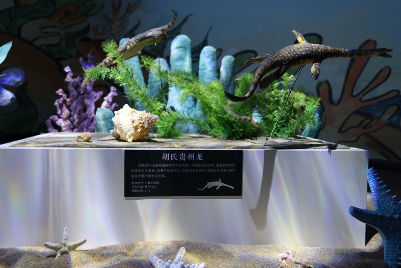 展覽一隅。沈純練攝