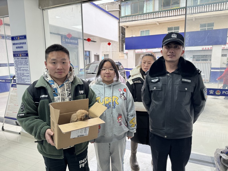 70余只小奶狗陸續被相繼領養。