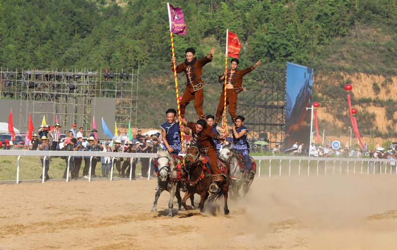 特技馬術表演。