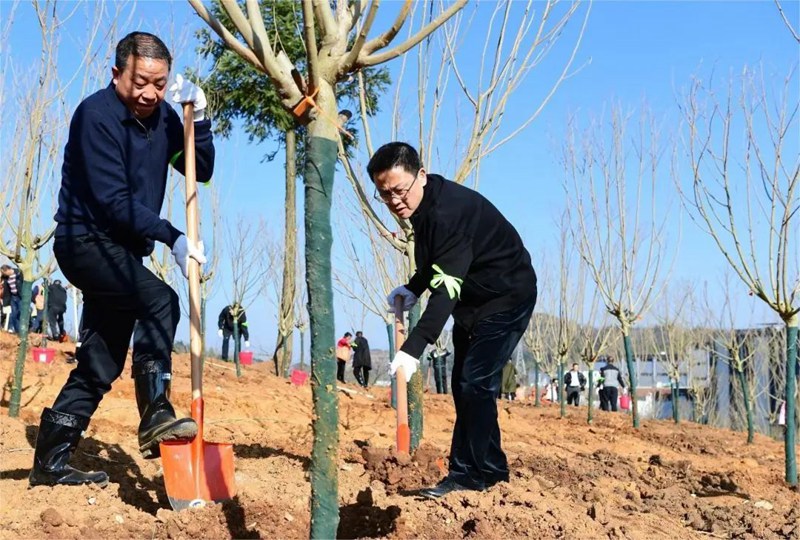 2、植樹現場。