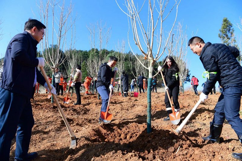 3、植樹現場。