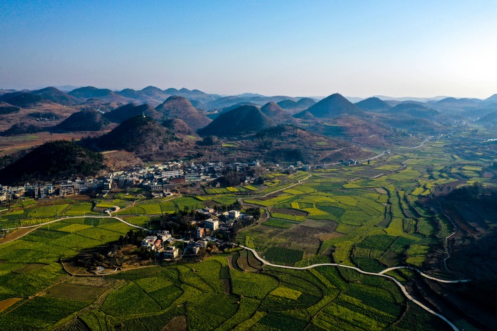 貴州省黔西市錦星鎮木渣黑社區油菜花田風光。