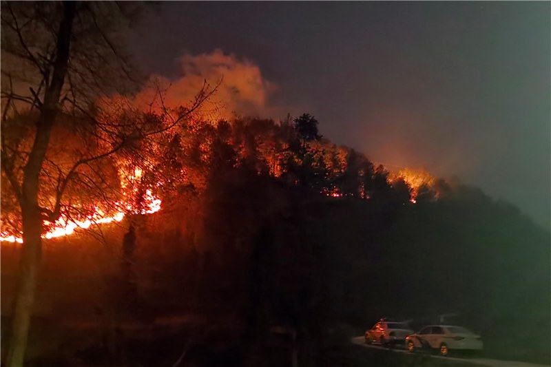 圖為：蔣某某在開陽縣紫興街道魚上村拐己組焚燒玉米桿引發山火及指認現場 (1).jpg
