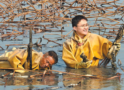 圖為鄭洋洋（右）在和村民挖藕。