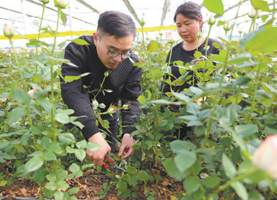 圖為葉傳增（左）在學習田間管護。