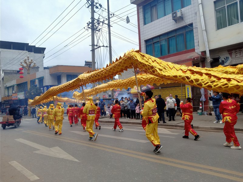 龍燈隊伍。付躍飛攝