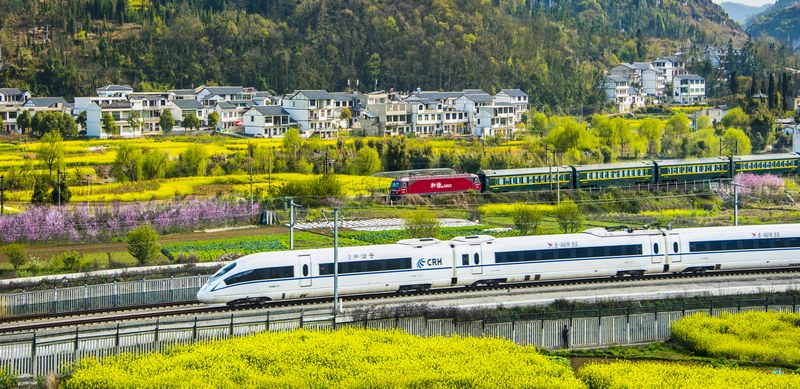 1 上春山、享春意！袁琴書  攝.jpg