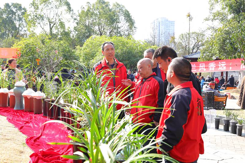 劍河縣舉辦迎春蘭花展活動現場（楊光褳攝）3