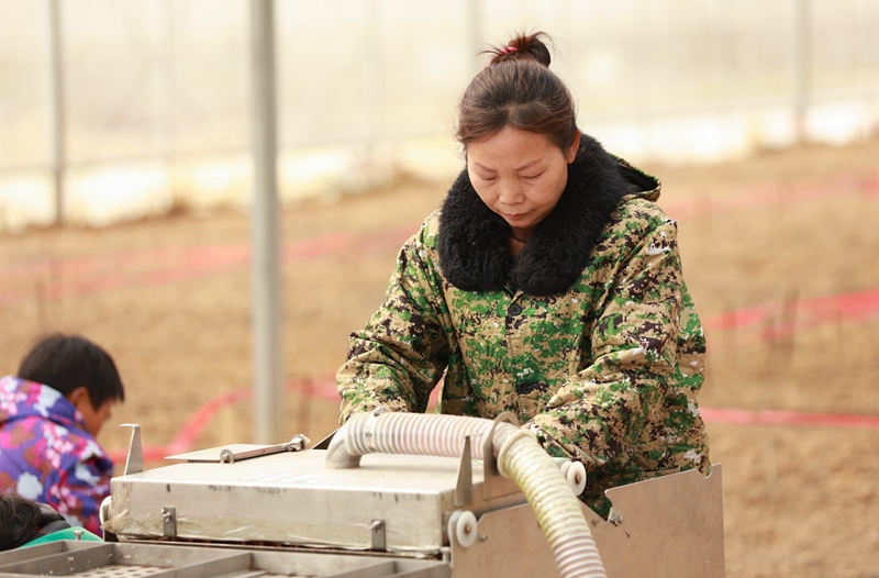 村民正在操作育苗設備。