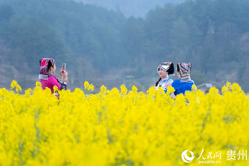 游客在油菜花中打卡拍照。人民網記者 涂敏攝