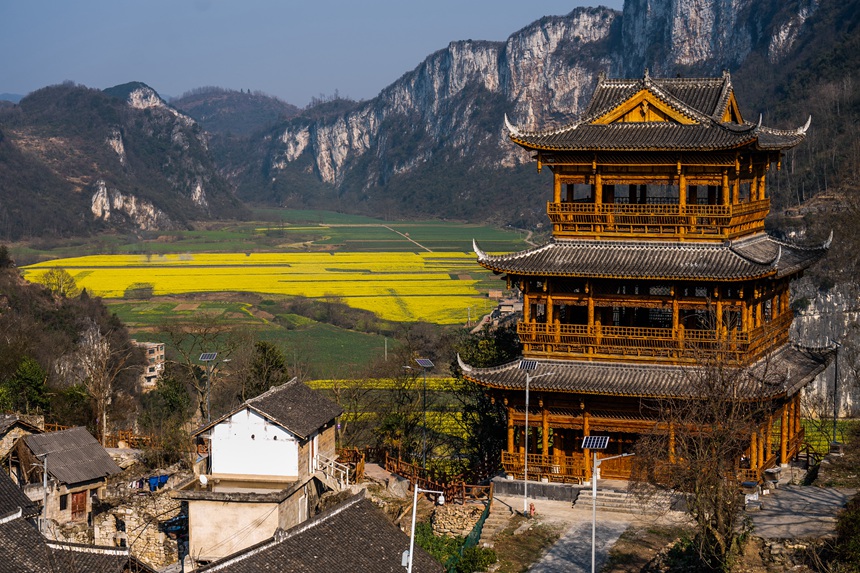 萬畝油菜花映得村寨里外春光無限。羅大富攝