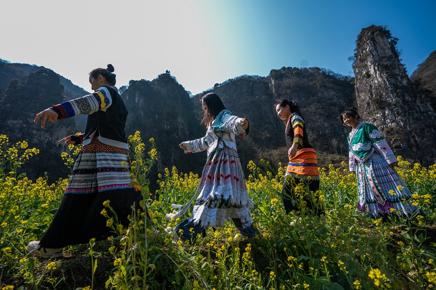 游客在田埂間賞花游玩。羅大富攝
