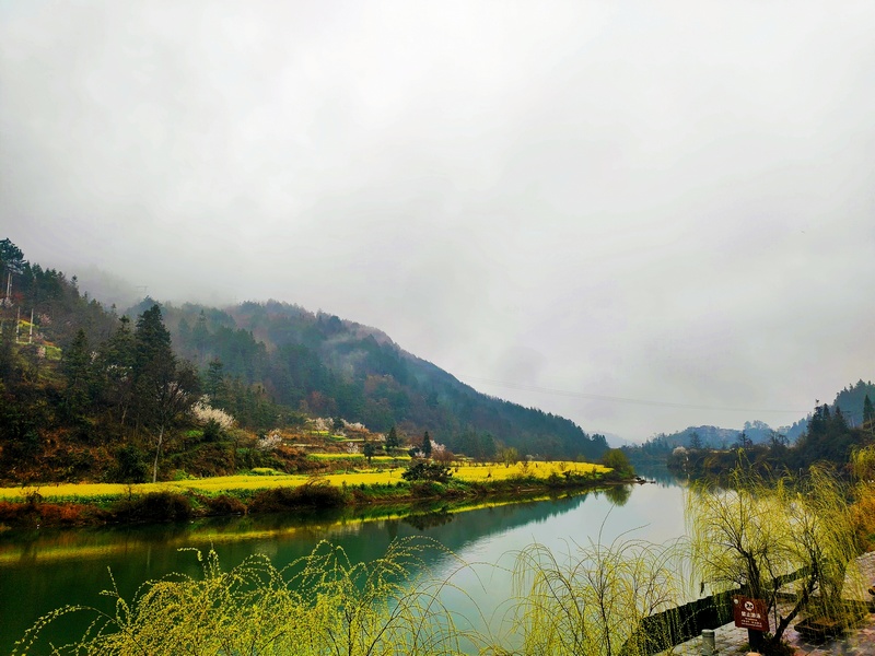 06 老屯鄉巴拉河畔油菜花田  熊慶來攝.jpg