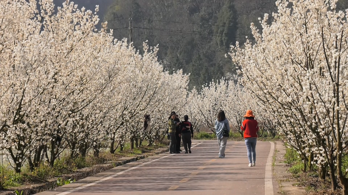 拍攝者黃曉箐 (1)