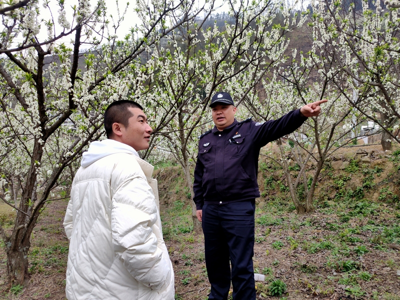 為賞花群眾指路。