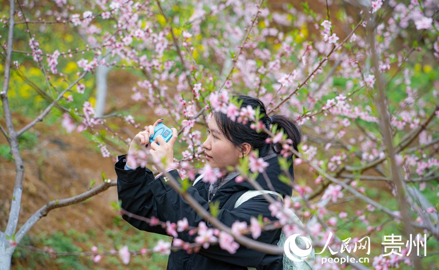 游客在花叢中拍照打卡。人民網 陽茜攝