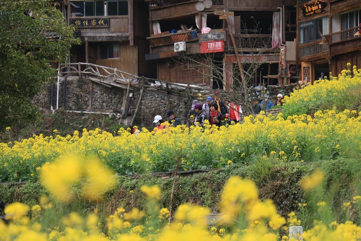 圖為郎德上寨熙熙攘攘的游客。