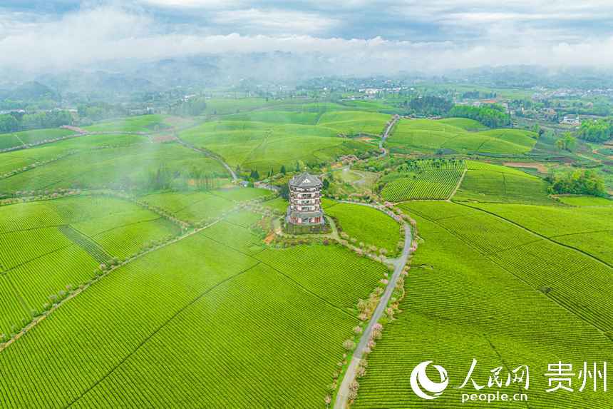 景區內修建了觀景樓方便游客賞茶海。人民網 陽茜攝