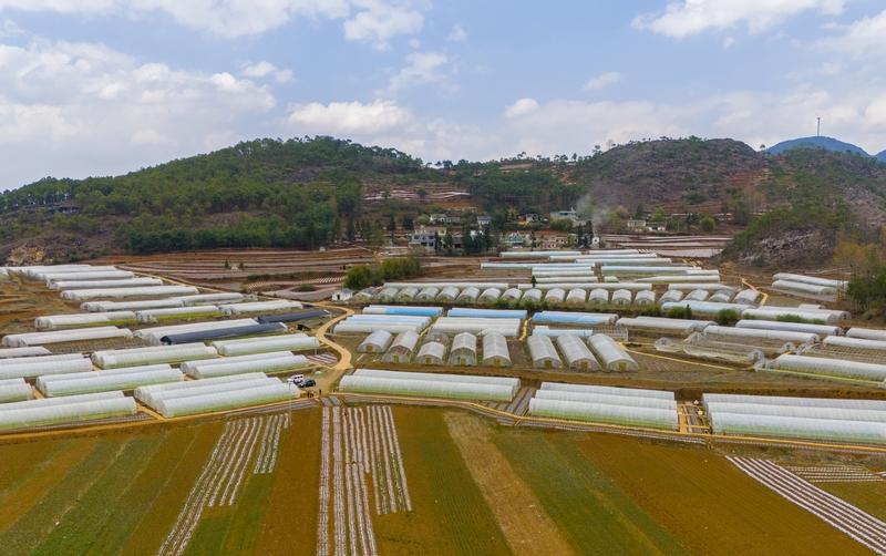 春耕時節，赫章縣鐵匠苗族鄉積極組織引導動員種糧大戶和烤煙種植大戶，充分調動群眾春耕生產積極性，全力抓好春耕生產。這是該鄉烤煙育苗大棚和蔬菜種植大棚。李學友攝