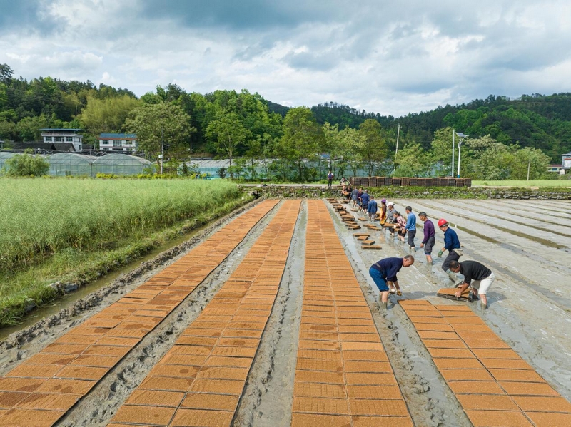 萬山農機助春耕，農業更高效。