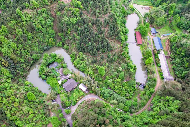 楊武森的養羊基地。