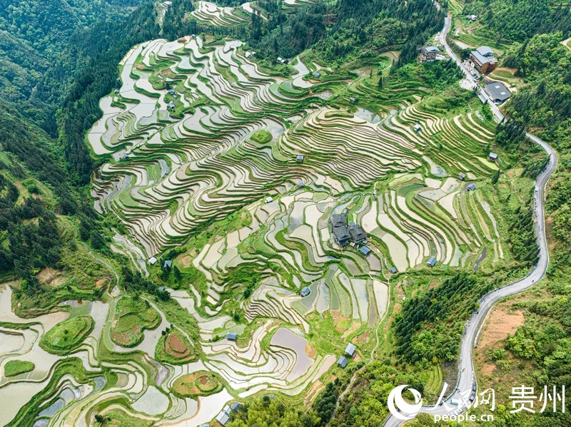 航拍加榜梯田。人民網 陽茜攝