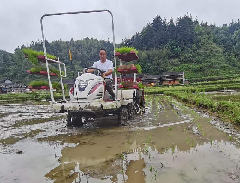 黎平縣搶抓農時 插下早稻“第一秧”.