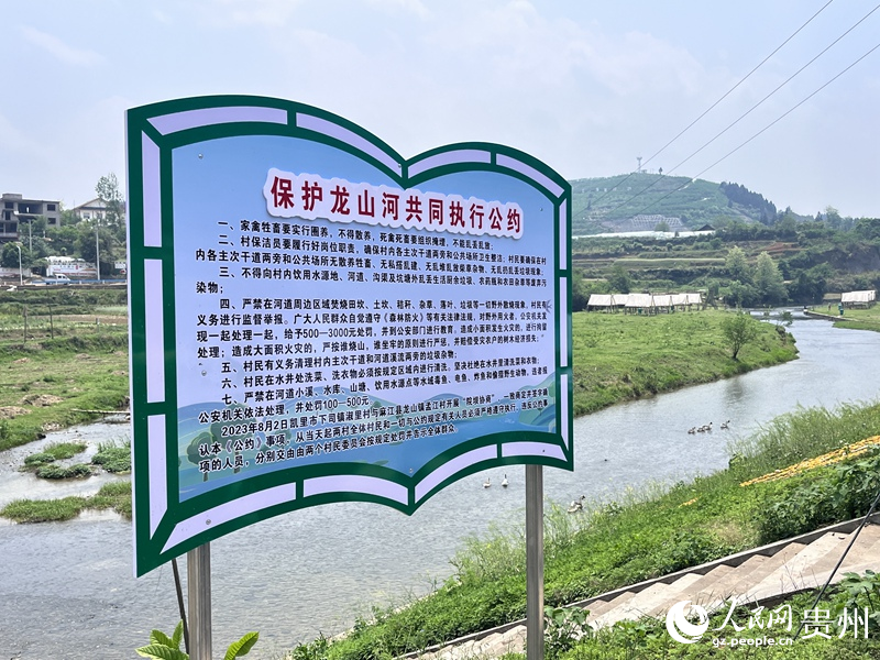 立在龍山河岸邊的公約持續“見證”河道舊貌換新，碧水扮靚鄉村。人民網 陳潔泉攝