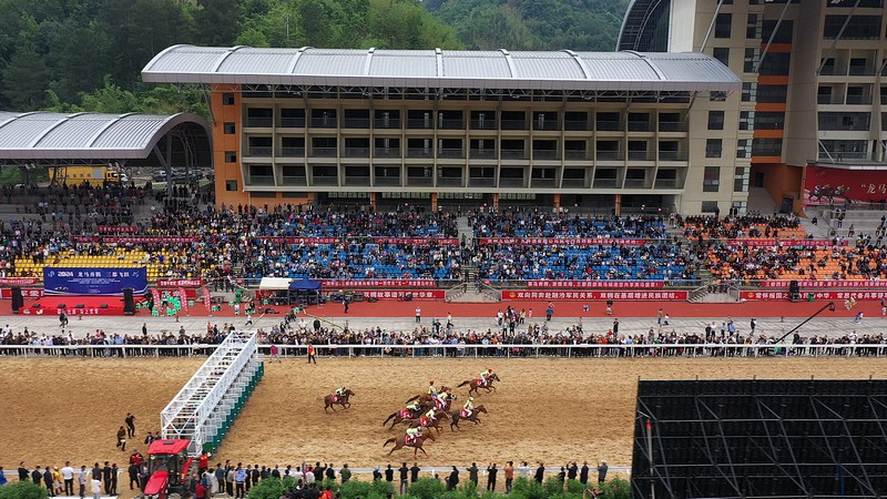 精彩的賽馬比賽.jpg
