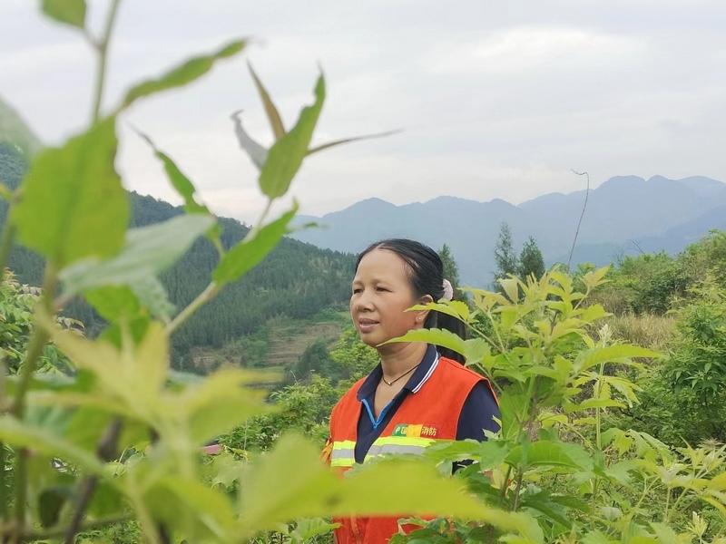 4  羅美在巡林 (2)