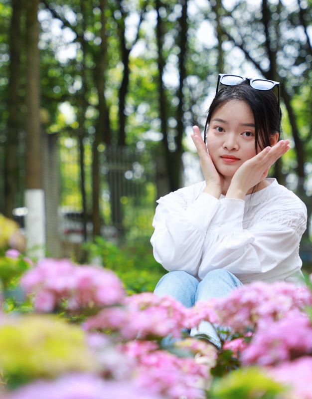 6、欣賞繡球花。