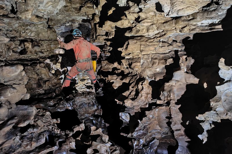 專家在貴州綏陽縣雙河洞內進行科學考察。貴州省山地資源研究所供圖