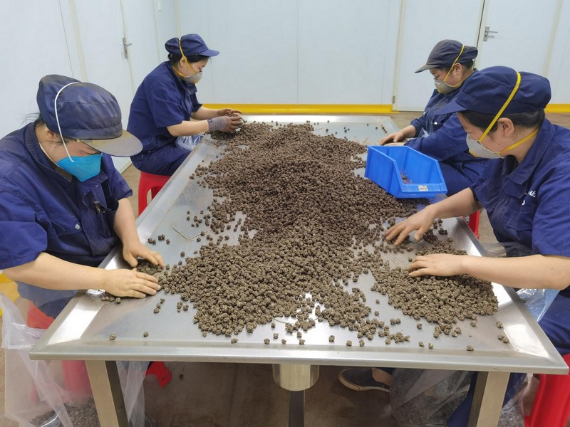 生產線上一派熱鬧景象。