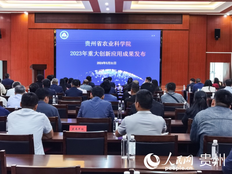 新聞發布會現場。人民網記者 王秀芳攝