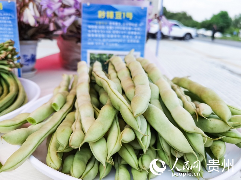 創新成果展示。人民網記者 王秀芳攝