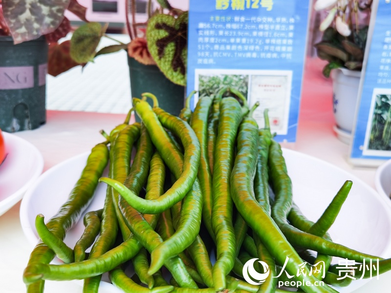 創新成果展示。人民網記者 王秀芳攝