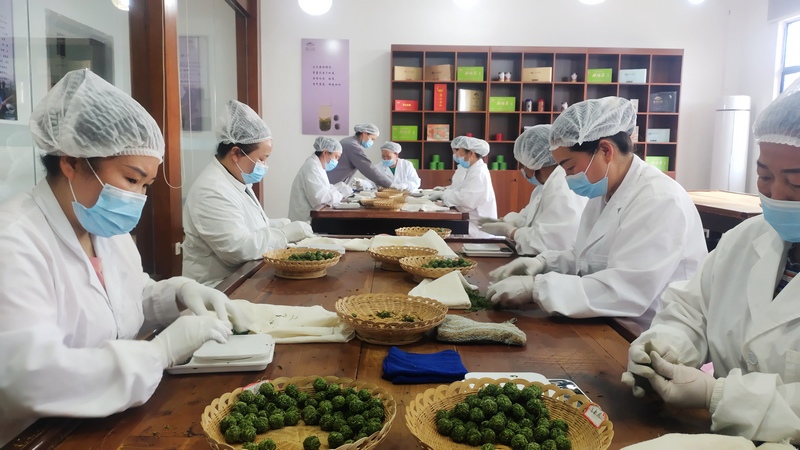 雷山銀球茶生產車間。