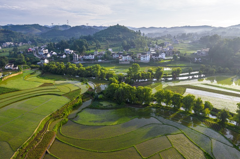 貴州黔西：仲夏田園美如畫。