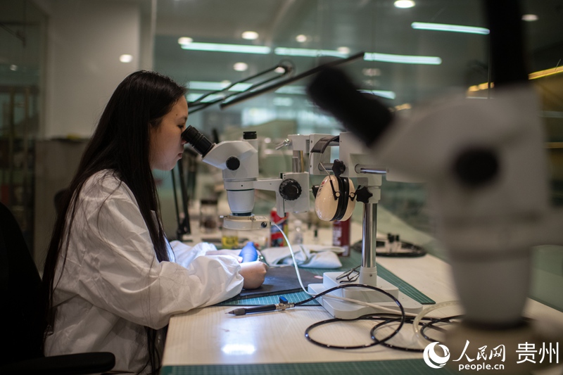 在貴州省地質博物館，修復師正在修復化石。人民網記者 翁奇羽攝