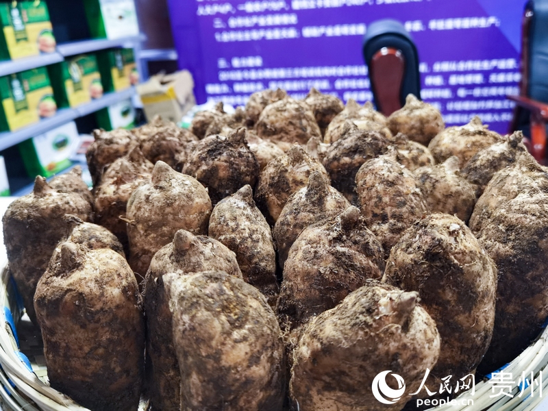 大方天麻。人民網記者 王秀芳攝