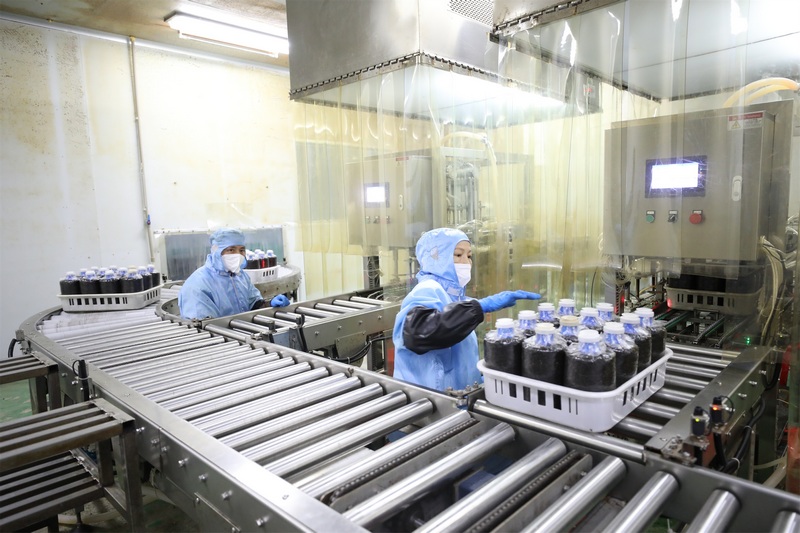 自動接種機正在給菌包接種。