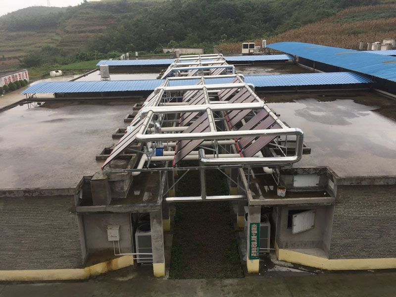 畢節市黔西市林泉鎮高錦烘烤工場太陽能熱泵烤房。