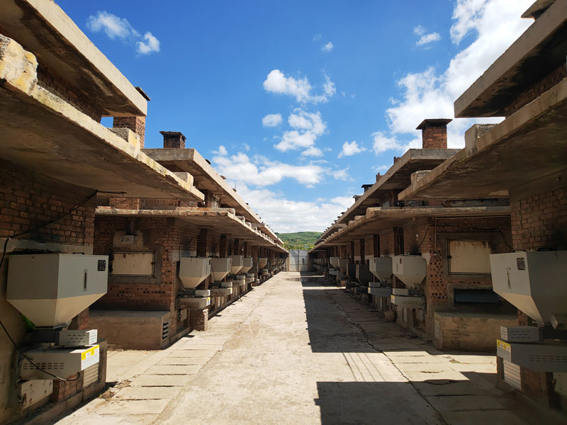 畢節市威寧縣秀水生物質烘烤工場。