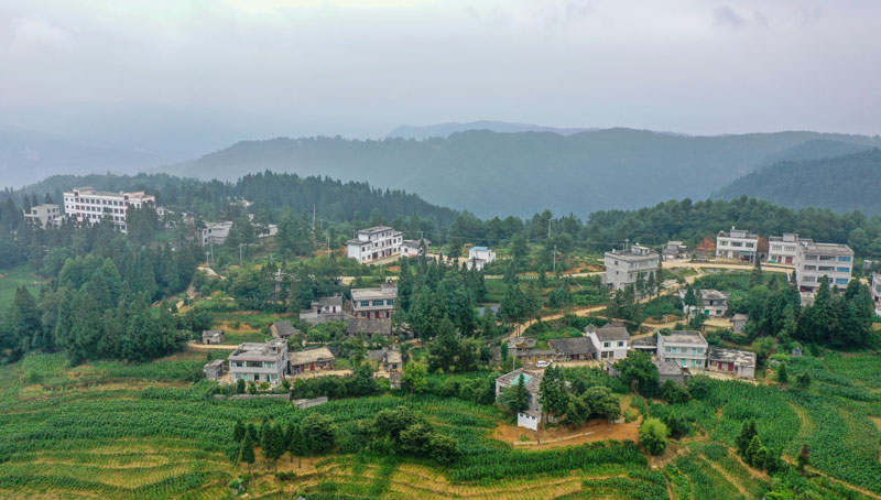 掩映在綠樹叢中的平山鎮農莊村。李學友攝