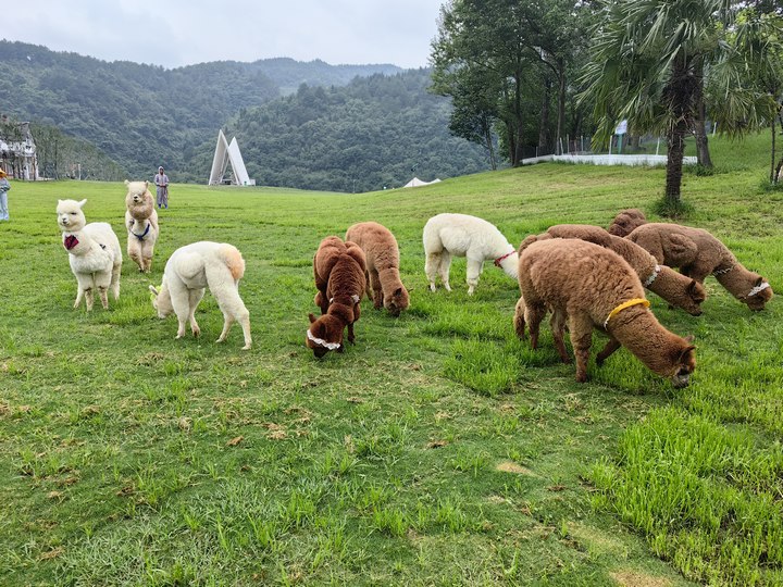 畢節市黔西中果河景區（4A級）。黔西市委宣傳部提供