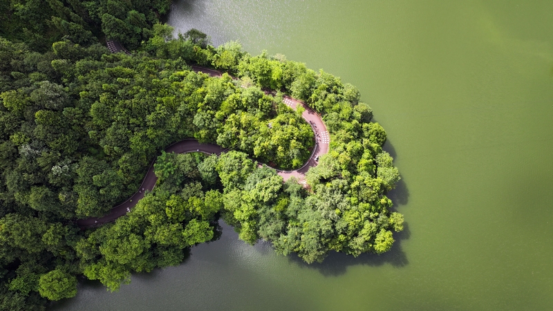 7月29日，百里杜鵑舉辦火把節豐富避暑游客旅居生活。