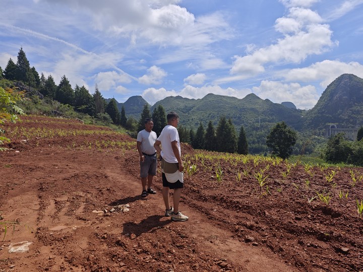 實地核實荒地情況。