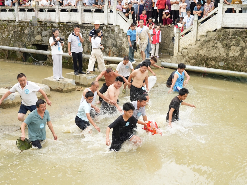1、游客們下水捉魚