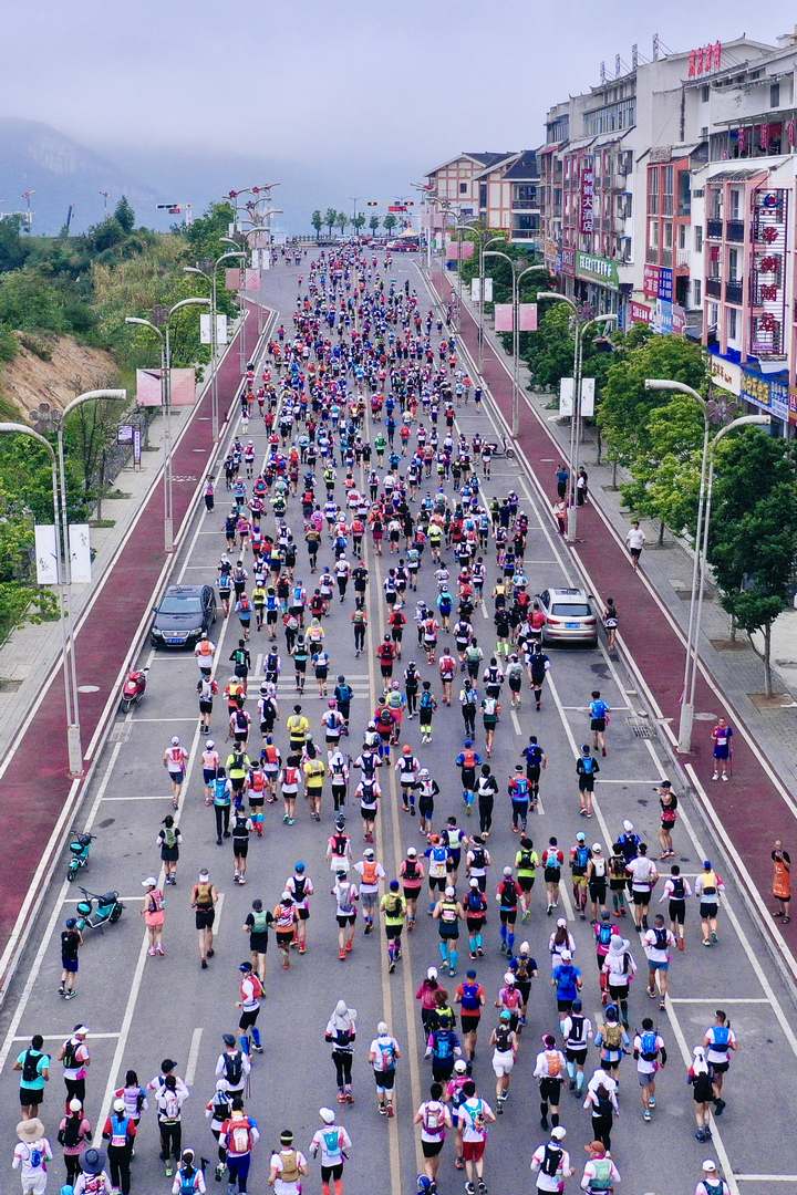 活動現場。陳鶴攝