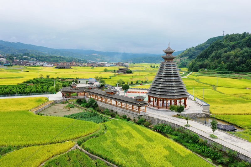 劍河縣南明大壩連片稻田航拍。